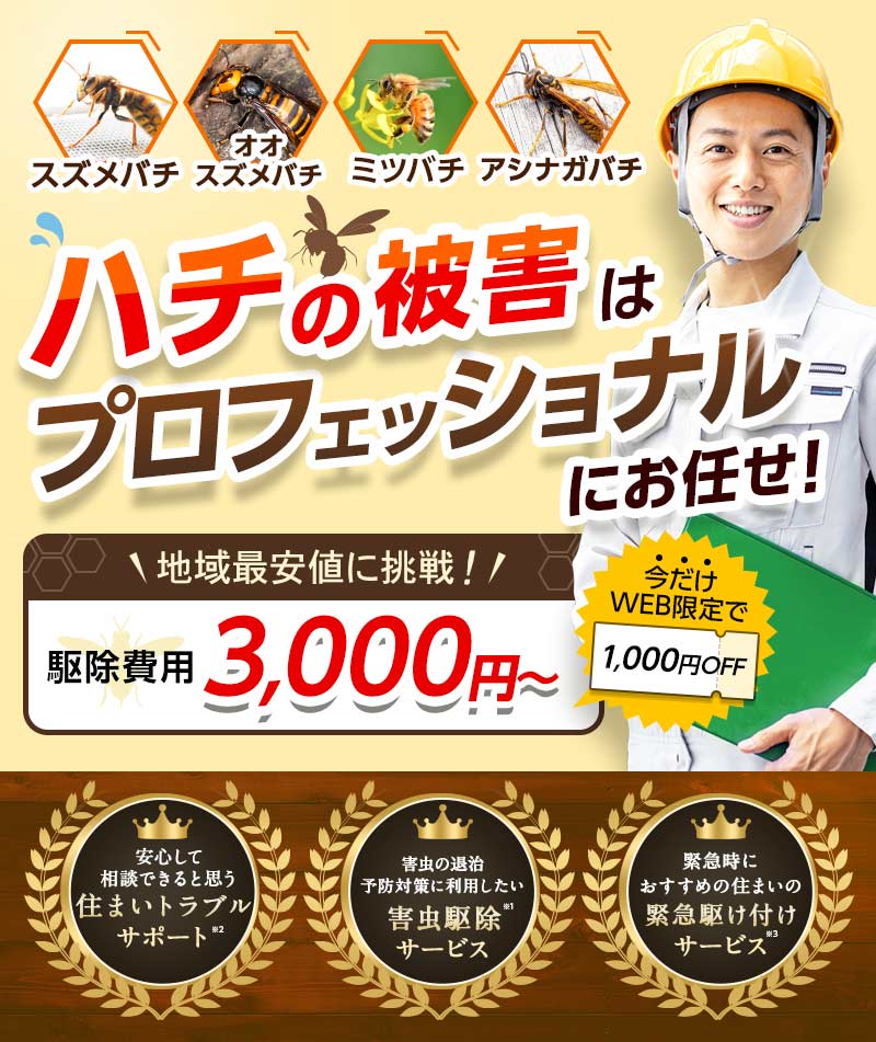 スズメバチ、オオスズメバチ、ミツバチ、アシナガバチ ハチの被害はプロフェッショナルにお任せ！駆除費用3,000円～地域最安値に挑戦！