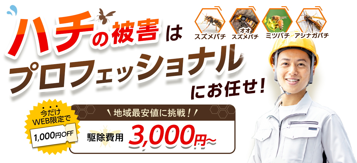 スズメバチ、オオスズメバチ、ミツバチ、アシナガバチ ハチの被害はプロフェッショナルにお任せ！駆除費用3,000円～地域最安値に挑戦！
