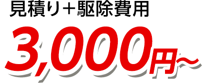 見積り＋駆除費用3,000円～